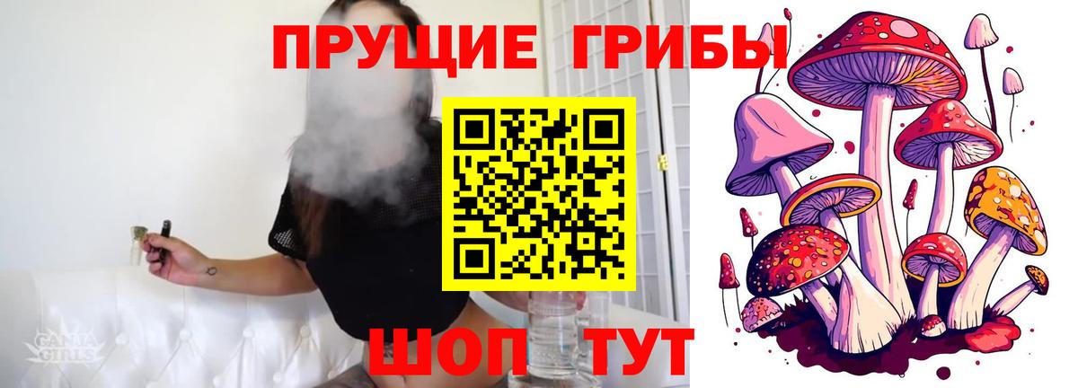 Псилоцибиновые грибы Psilocybe  Вход с VPN  Сызрань 